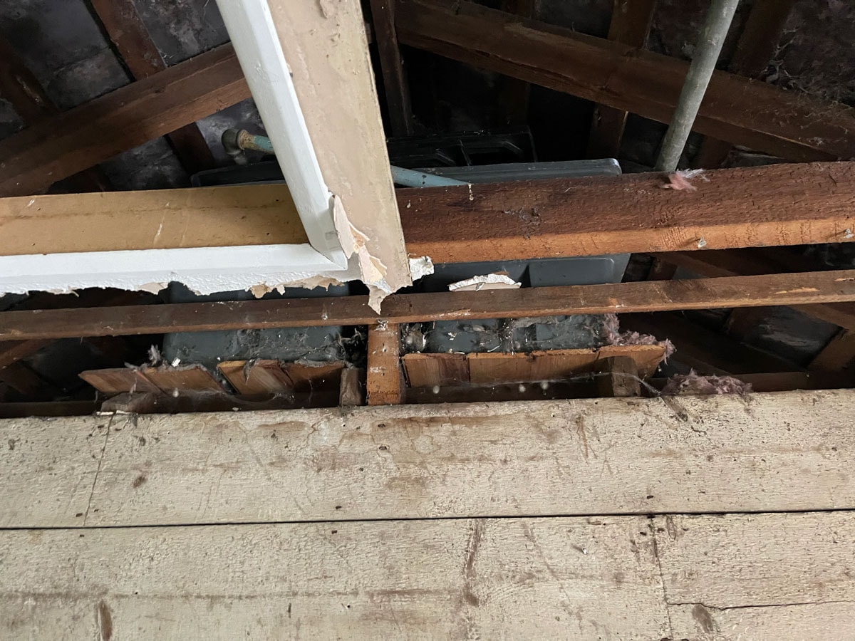Exposed roof structure during the Walton-on-Thames cottage strip-out.